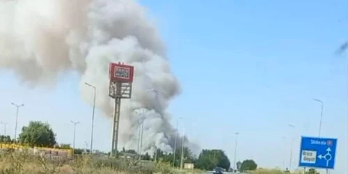 Incendiu vegetatie Călărași   Foto Facebook Meteoplus jpeg